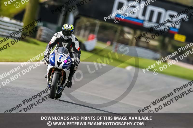 Oulton Park 21st March 2020;PJ Motorsport Photography 2020;anglesey;brands hatch;cadwell park;croft;donington park;enduro digital images;event digital images;eventdigitalimages;mallory;no limits;oulton park;peter wileman photography;racing digital images;silverstone;snetterton;trackday digital images;trackday photos;vmcc banbury run;welsh 2 day enduro